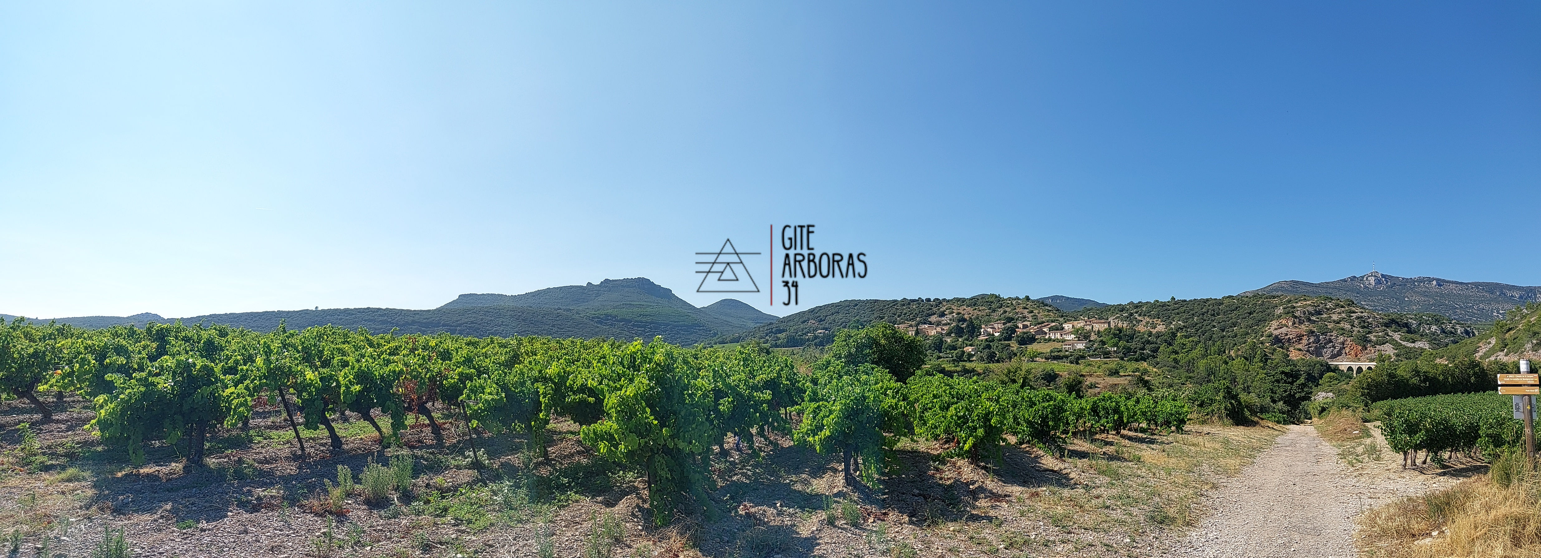 Paysage avec vue sur le village d'Arboras, des vignes, le pont qui passe par dessus le Rouvignous, le Mont St Baudille et le Rocher des 2 vierges